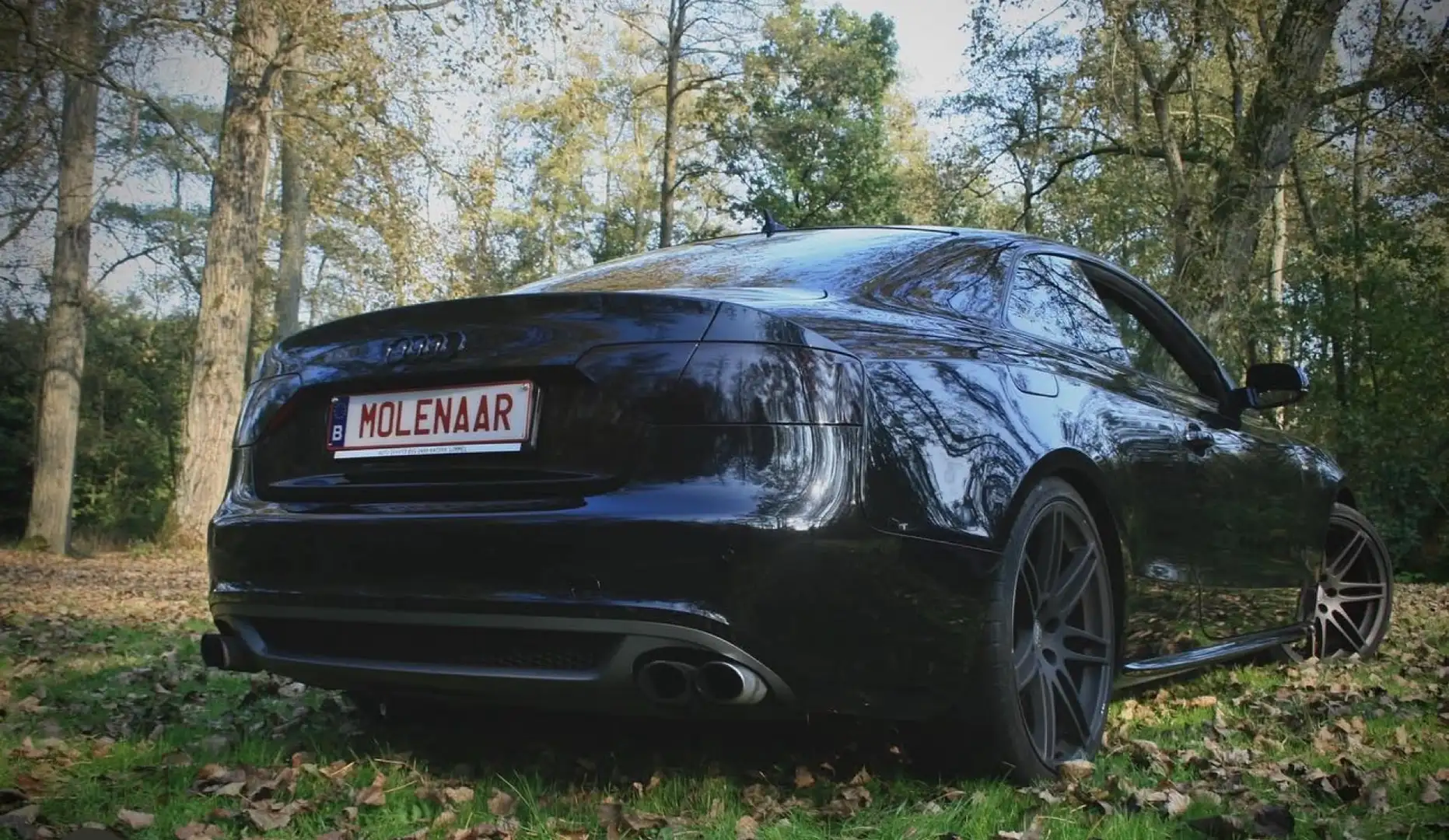 Audi A5 3.0 TDI DPF quattro S tronic - 2