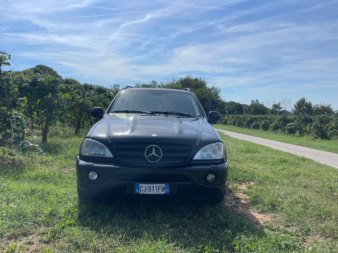 Mercedes-Benz ML 55 AMG, foto 4