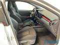 Skoda Fabia 1.0TSI Monte Carlo LED Navi SHZ Rear View ACC Carp Weiß - thumbnail 18