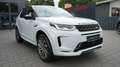 Land Rover Discovery Sport DISCOVERY SPORT P300e PLUG-IN R-DYNAMIC HSE*PANO Blanc - thumbnail 12