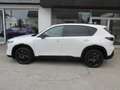 Mazda CX-5 e-Skyactiv G141 MHEV AWD Homura Aut. Weiß - thumbnail 7