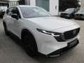 Mazda CX-5 e-Skyactiv G141 MHEV AWD Homura Aut. Weiß - thumbnail 3