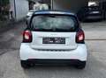 smart forTwo smart fortwo Prime twinamic Prime Weiß - thumbnail 3