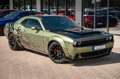 Dodge Challenger 6,4 SCAT PACK PLUS WIDE BODY ADRENALI Grün - thumbnail 8