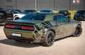 Dodge Challenger 6,4 SCAT PACK PLUS WIDE BODY ADRENALI Grün - thumbnail 12
