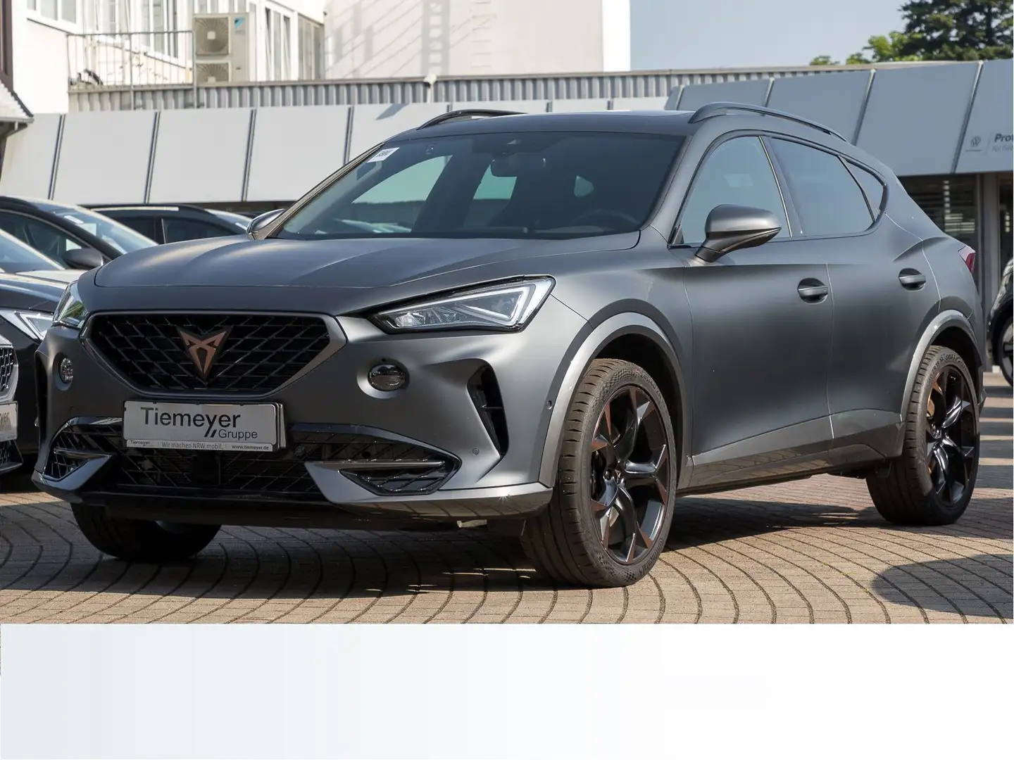 CUPRA Formentor 2.0 TSI DSG 4D VZ PANO beats LM19 AHK Grau - 2