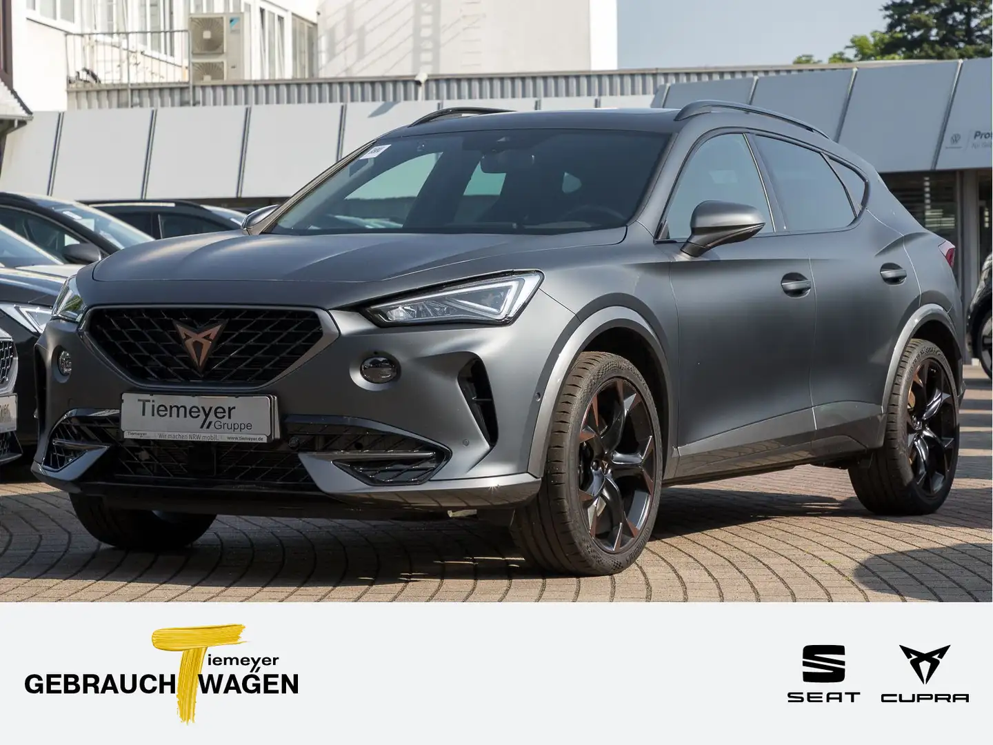 CUPRA Formentor 2.0 TSI DSG 4D VZ PANO beats LM19 AHK Grau - 1