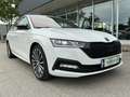 Skoda Octavia 2.0 TDI Style 4x4 (EURO 6d) PTS EASY-PACK Weiß - thumbnail 23