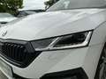 Skoda Octavia 2.0 TDI Style 4x4 (EURO 6d) PTS EASY-PACK Weiß - thumbnail 14