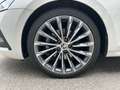 Skoda Octavia 2.0 TDI Style 4x4 (EURO 6d) PTS EASY-PACK Weiß - thumbnail 13