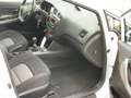 Kia Ceed SW / cee'd SW Sportswagon 1.4 CVVT | CRUISE | KLIMA | PDC | STOE Blanc - thumbnail 25