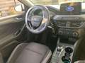 Ford Focus Focus V 2022 SW SW 1.5 ecoblue Business 120cv auto Bianco - thumbnail 7