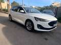 Ford Focus Focus V 2022 SW SW 1.5 ecoblue Business 120cv auto Bianco - thumbnail 3