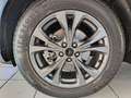 Ford Kuga Kuga 2.5 phev ST-Line 2wd 225cv cvt Bleu - thumbnail 13