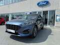 Ford Kuga Kuga 2.5 phev ST-Line 2wd 225cv cvt Blu/Azzurro - thumbnail 2