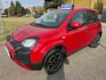 Fiat Panda CROSS 1.0 Hybrid  PREZZO REALE 5 POSTI Rosso - thumbnail 2
