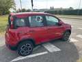 Fiat Panda CROSS 1.0 Hybrid  PREZZO REALE 5 POSTI Rosso - thumbnail 5