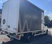 Opel Movano Kofferaufbau Camper/Renntransporter Weiß - thumbnail 2
