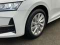 Skoda Octavia Combi 2.0TDI Selection Design-Paket Loft Weiß - thumbnail 6