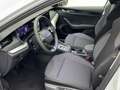 Skoda Octavia Combi 2.0TDI Selection Design-Paket Loft Weiß - thumbnail 9