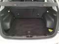 Jeep Compass 1.6 Multijet II Limited Bianco - thumbnail 21