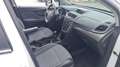 Citroen C3 1.6 hdi Exclusive Style (exclusive) 110cv fap - thumbnail 5