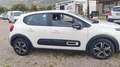Citroen C3 1.6 hdi Exclusive Style (exclusive) 110cv fap - thumbnail 1