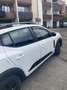 Dacia Sandero Sandero Stepway TCe 110 Extreme Weiß - thumbnail 3