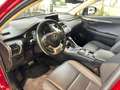 Lexus NX 300 Hybrid 4WD UNICO PROPRIETARIO MANUTENZIONI REGOLA - thumbnail 15