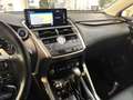 Lexus NX 300 Hybrid 4WD UNICO PROPRIETARIO MANUTENZIONI REGOLA - thumbnail 11
