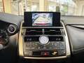 Lexus NX 300 Hybrid 4WD UNICO PROPRIETARIO MANUTENZIONI REGOLA - thumbnail 14