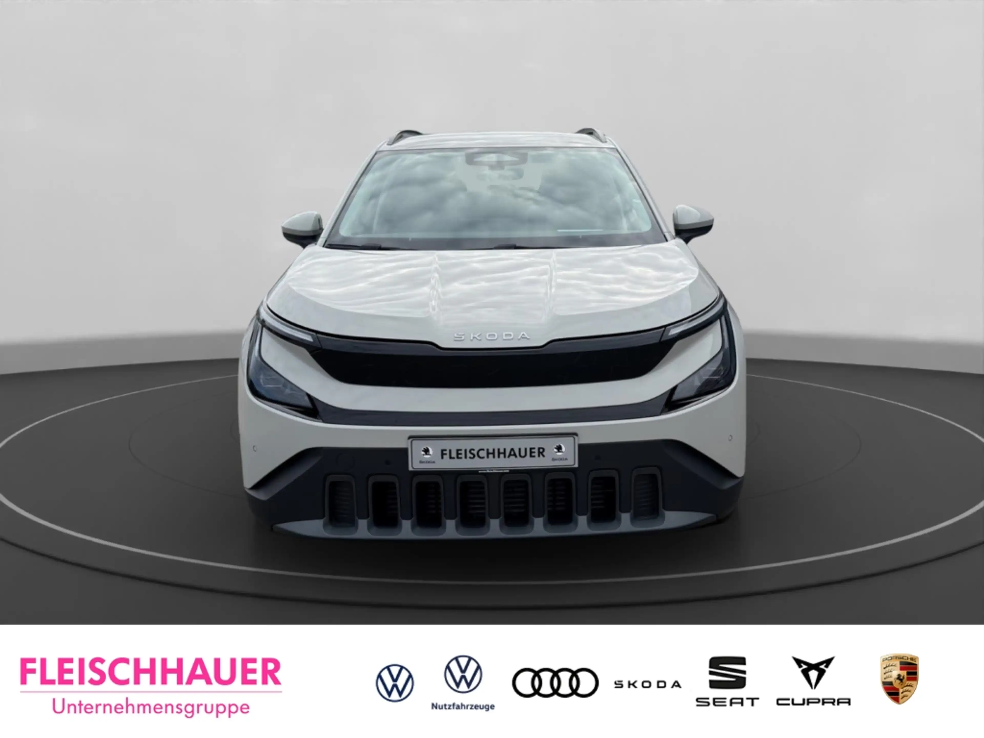 Skoda Epiq Edition Selection 55 (56 kWh) LED Navi Tel.-Vorb. — photo 2