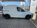 Volkswagen Caddy BUSINESS 2.0TDI 102CV CAMBIO MANUALE Blanco - thumbnail 3
