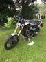 Triumph Scrambler 1200 XE Icon Edition - thumbnail 2
