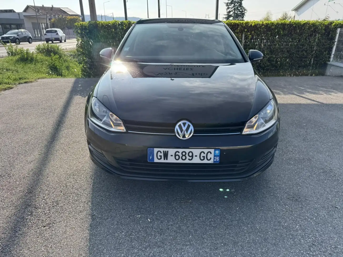Volkswagen Golf Golf 1.6 TDI CR FAP BlueMotion - 105 VII Cup - 2