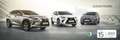 Lexus NX 300 300h Executive Navigation 4WD Czarny - thumbnail 1