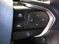 Lexus RX 350 h Klimaautom., 360-Grad Kamera, BT, Weiß - thumbnail 18