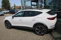 CUPRA Formentor 1.5 TSI AHK Navi ACC Leder/Alc. LED Parktronic Sit Weiß - thumbnail 3