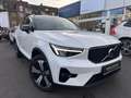 Volvo XC40 T5 Ultimate Plug in, 360°, BLIS, ACC, 261PS Weiß - thumbnail 4
