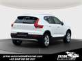 Volvo XC40 XC40 D3 *1.Erstbesitz*Teilleder* Weiß - thumbnail 3