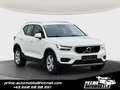 Volvo XC40 XC40 D3 *1.Erstbesitz*Teilleder* Weiß - thumbnail 1