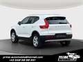 Volvo XC40 XC40 D3 *1.Erstbesitz*Teilleder* Weiß - thumbnail 5