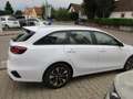 Kia Ceed / cee'd SW 1.5 T-GDI DCT7 OPF Vision Navi Klima Alus PDC Weiß - thumbnail 6