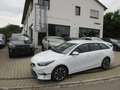 Kia Ceed / cee'd SW 1.5 T-GDI DCT7 OPF Vision Navi Klima Alus PDC Weiß - thumbnail 1