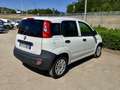 Fiat Panda Panda 1.3 mjt 16v 80Cv 4 Posti Van Autocarro N1 Bianco - thumbnail 3