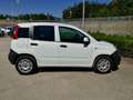 Fiat Panda Panda 1.3 mjt 16v 80Cv 4 Posti Van Autocarro N1 Bianco - thumbnail 5