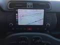 Fiat Panda Panda 1.3 mjt 16v 80Cv 4 Posti Van Autocarro N1 Bianco - thumbnail 11