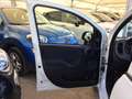 Fiat Panda Panda 1.3 mjt 16v 80Cv 4 Posti Van Autocarro N1 Bianco - thumbnail 14