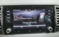 Skoda Karoq 2.0TDI AdBlue Ambition 4x4 DSG 110kW Gris - thumbnail 22