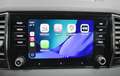 Skoda Karoq 2.0TDI AdBlue Ambition 4x4 DSG 110kW Gris - thumbnail 24